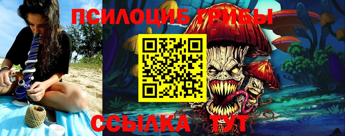 Псилоцибиновые грибы мицелий  Вход с VPN  Минусинск 