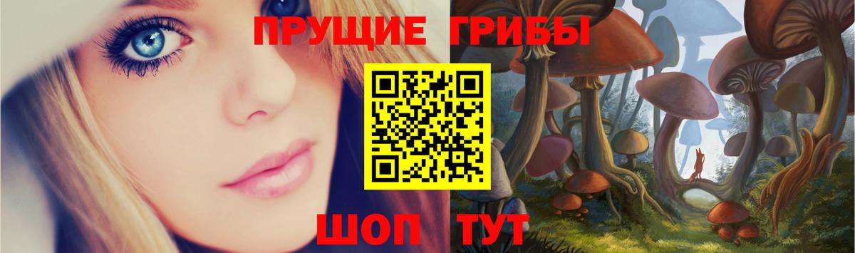 Галлюциногенные грибы GOLDEN TEACHER Минусинск