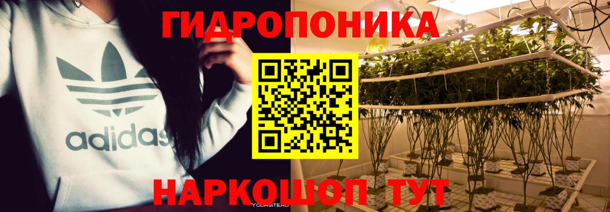 ЭКСТАЗИ  Гашиш  Минусинск  Вход с VPN  Мефедрон кристаллы  МДМА 